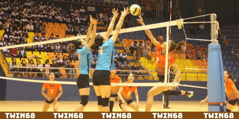 Xuống tiền cho kèo châu Âu trong bóng chuyền mới nhất